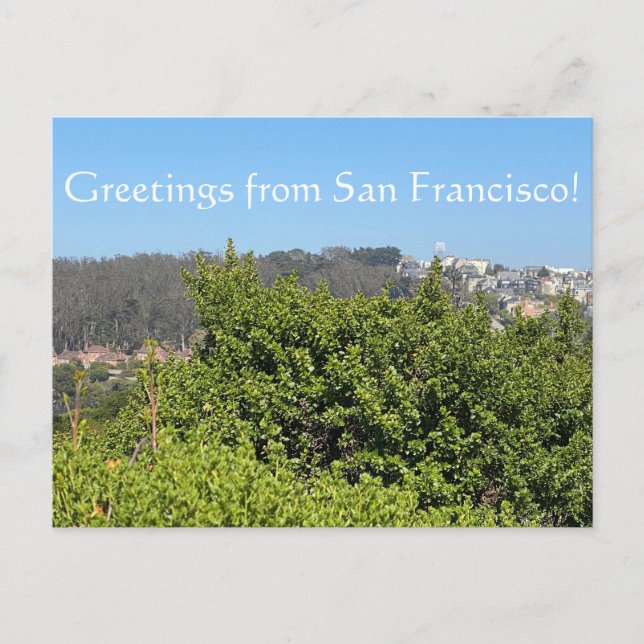 Greetings from San Francisco! Holiday Postcard (Front)