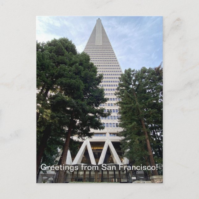 Greetings from San Francisco Postcard (Front)