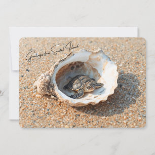Greetings from Sanibel Island Sea Turtle in Shell Card