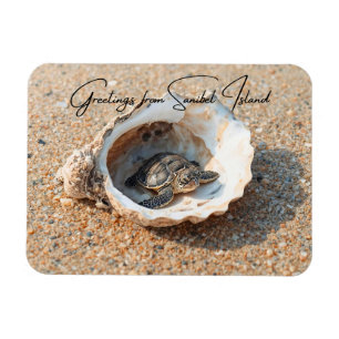 Greetings from Sanibel Island Sea Turtle in Shell Magnet