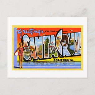 greetings from Santa Cruz  California Postcard
