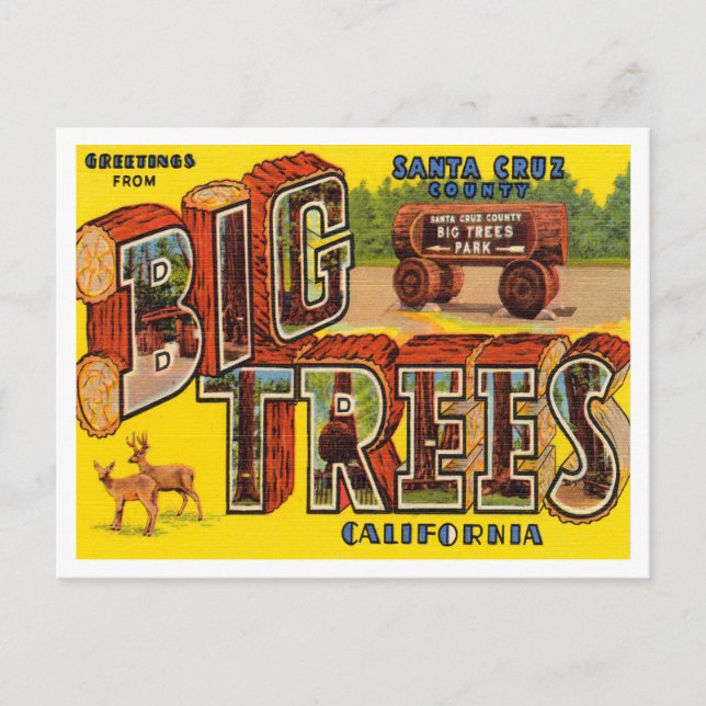 Greetings from Santa Cruz County, Big Trees Park Postcard (Front)
