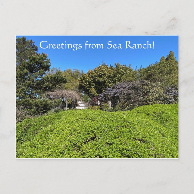 Greetings from Sea Ranch! Postcard (Front)