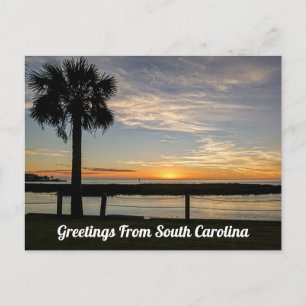 Greetings From South Carolina Postcard