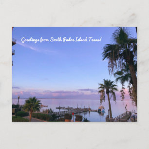Greetings from South Padre Island Texas! Postcard