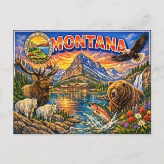 Greetings From State Postcard