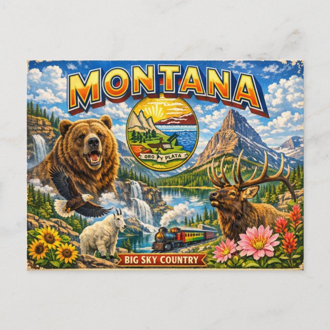 Greetings From State Postcard  (Front)