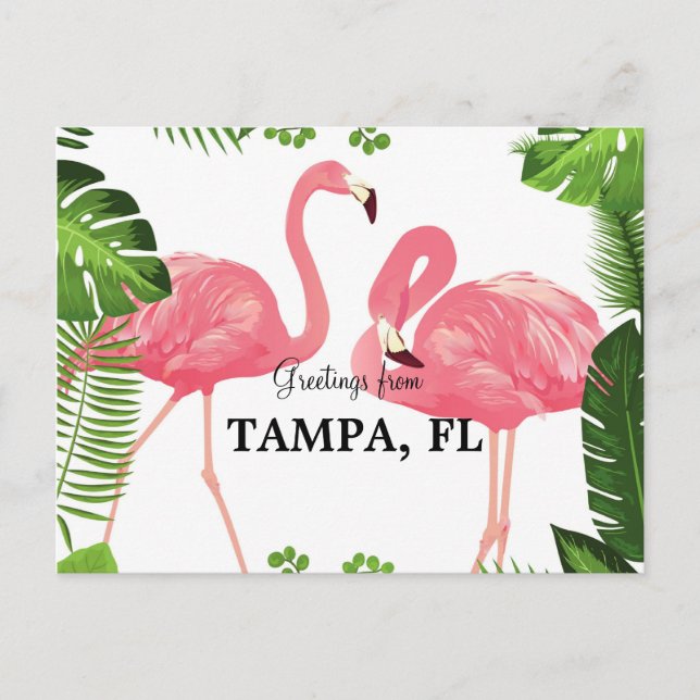 Greetings from Tampa, Florida Postcard (Front)