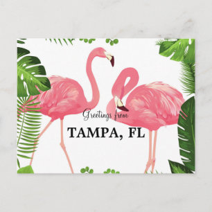 Greetings from Tampa, Florida Postcard