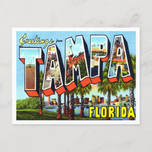 Greetings from Tampa, Florida Vintage Travel Postcard