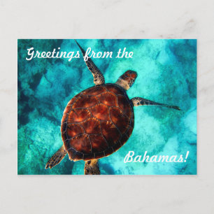 Greetings from the Bahamas Postcard