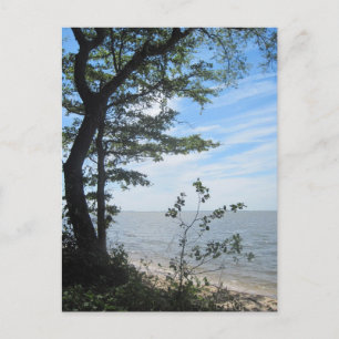 Greetings from the beach! postcard