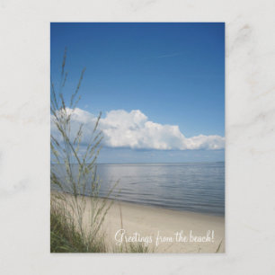 Greetings from the beach! postcard