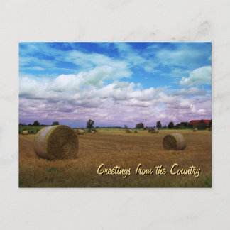 Greetings from the Country Postcard