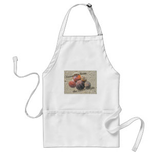 Greetings from the Outer Banks Seashells Standard Apron