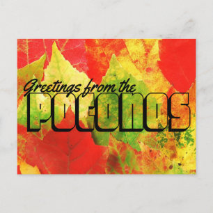 Greetings from the Poconos Colourful Leaves Postcard