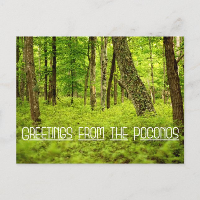 Greetings from the Poconos Summer Woods Postcard (Front)