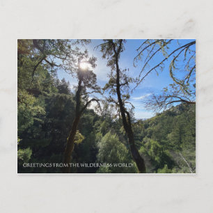 GREETINGS FROM THE WILDERNESS WORLD! POSTCARD