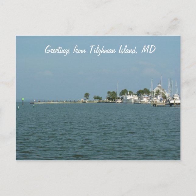 Greetings from Tilghman Island, MD Postcard (Front)