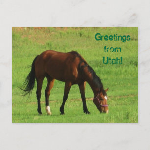 Greetings from Utah! Postcard