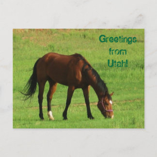 Greetings from Utah! Postcard