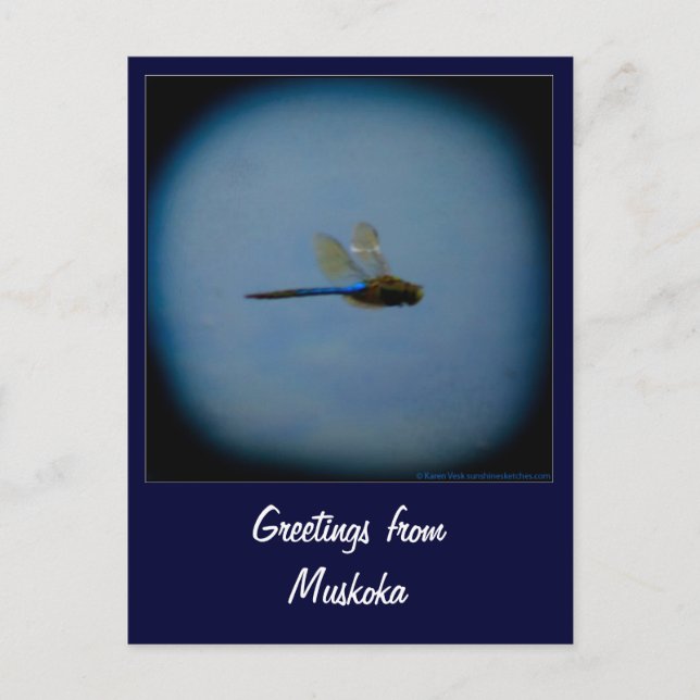 Greetings from Vacation Country postcard (Front)