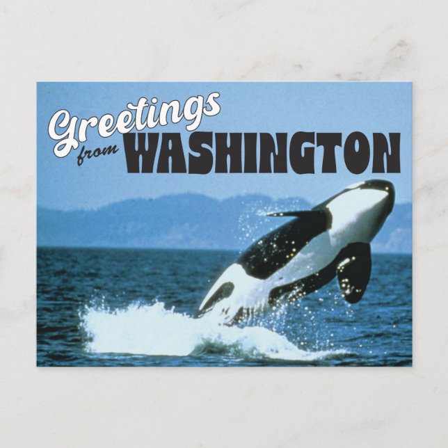 Greetings from Washington State with Orca Whale Postcard (Front)