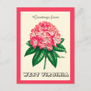 Greetings from West Virginia Rhododendron Postcard