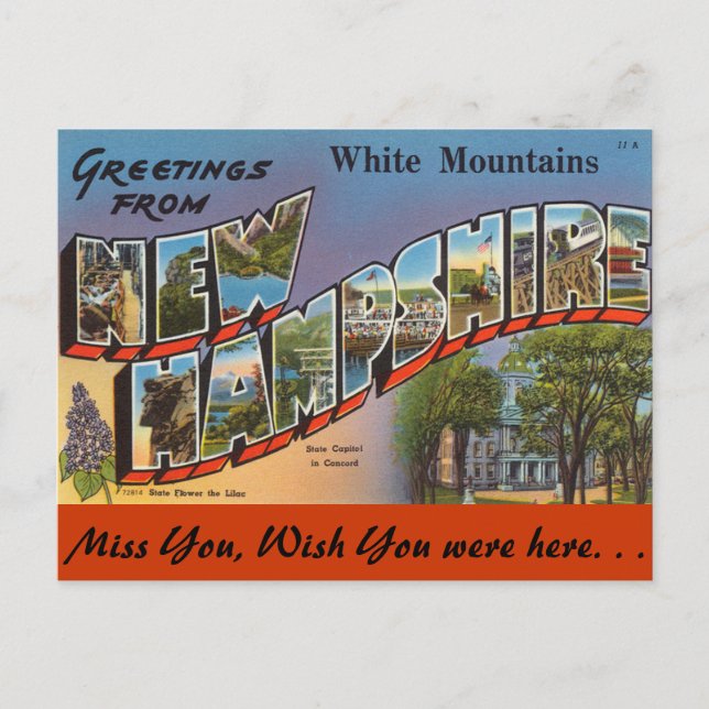 Greetings from White Mountains Postcard (Front)