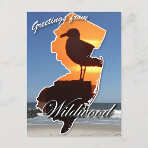 Greetings from Wildwood Holiday Postcard