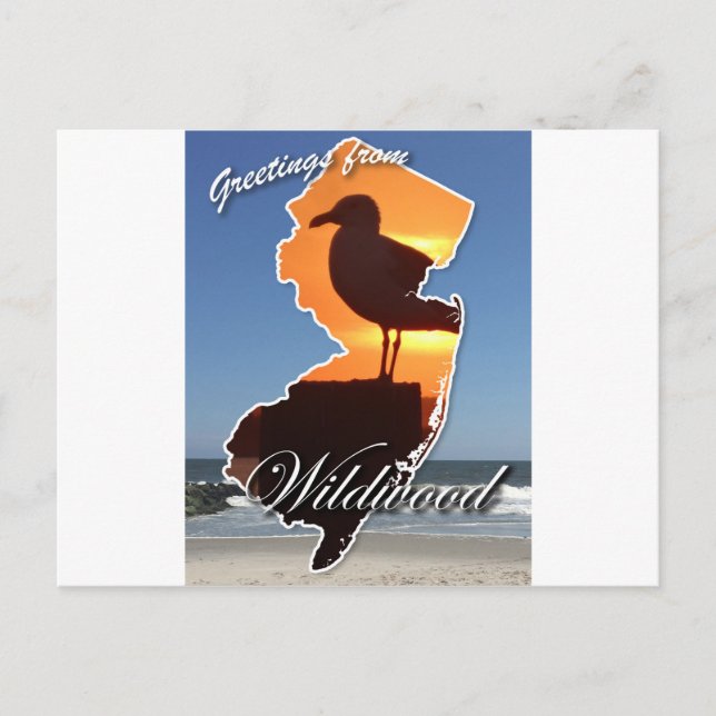 Greetings from Wildwood Postcard (Front)