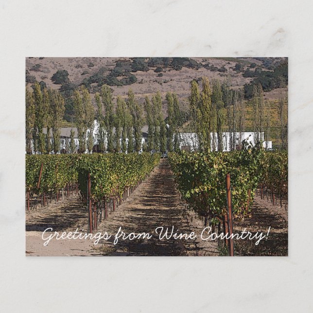 Greetings from Wine Country! Postcard (Front)