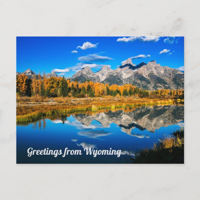 Greetings From Wyoming Postcard (Front)
