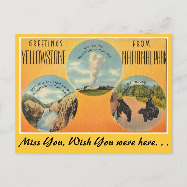 Greetings from Yellowstone National Park Postcard (Front)