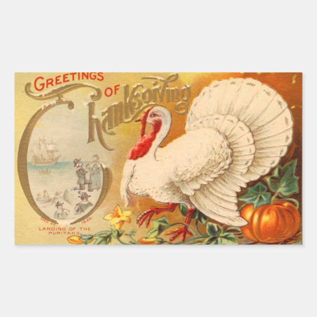 Greetings of Thanksgiving White Turkey Vintage Rectangular Sticker (Front)