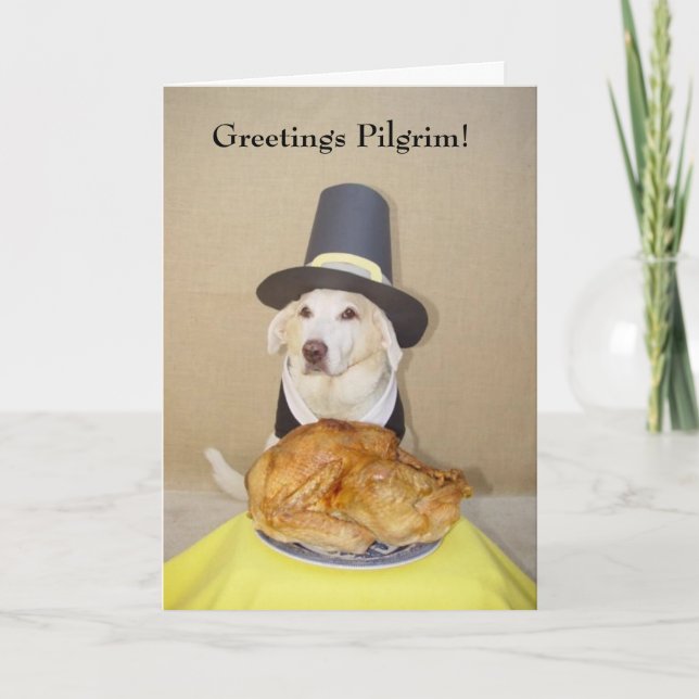 Greetings Pilgrim! Holiday Card (Front)