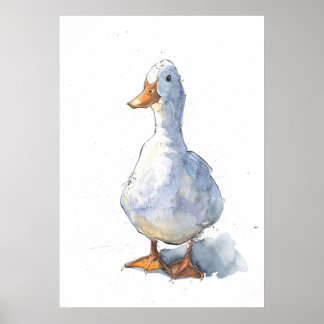 Greetings White Duck Poster