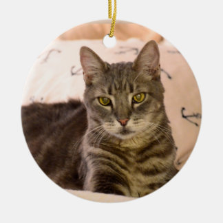 Greg tabby cat Christmas ornament