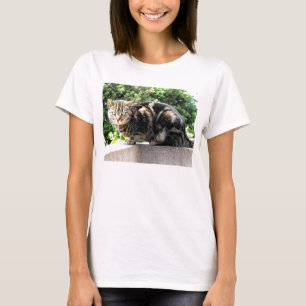 Gremlin the tabby cat T-Shirt