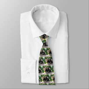 Gremlin the tabby cat tie