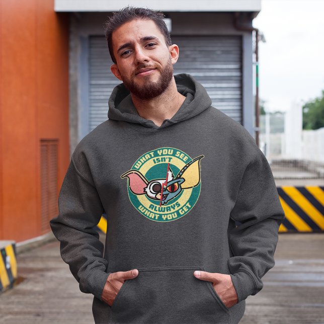 Gremlins | What You See Isn't Always What You Get Hoodie (Person wearing hoodie)