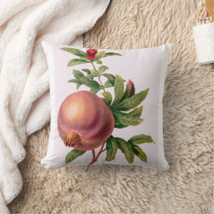 Grenade (Pomegranate) by Pierre Redout  Cushion