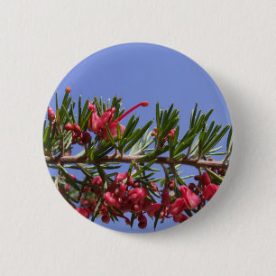 Grevillea Button