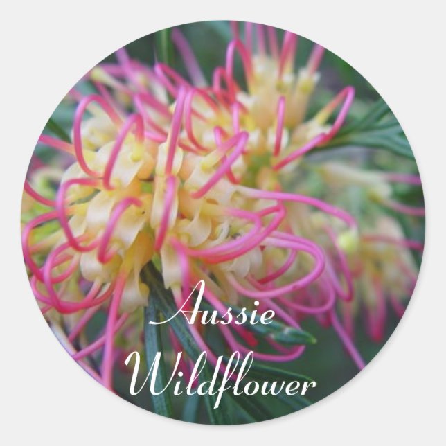 Grevillea Classic Round Sticker (Front)