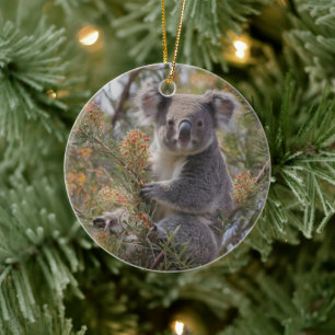 Grevillea Koala Bear, Ceramic Tree Decoration