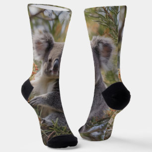 Grevillea Koala Bear, Crew Socks
