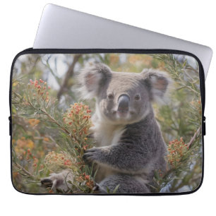 Grevillea Koala Bear, Laptop Sleeve