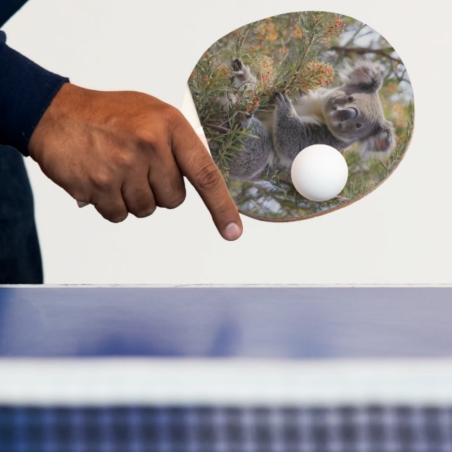 Grevillea Koala Bear, Ping Pong Paddle (Insitu)