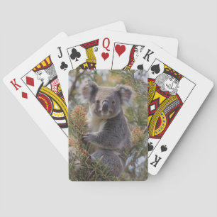 Grevillea Koala Bear, Playing Cards