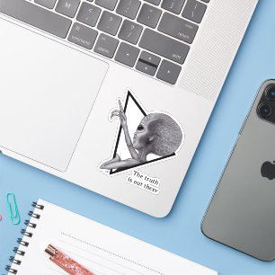 Grey Alien, the truth is out there